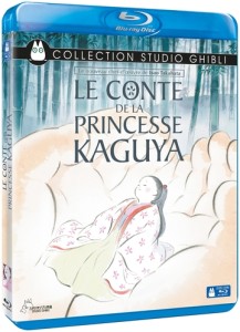 visBluContedelaPrincesseKaguya